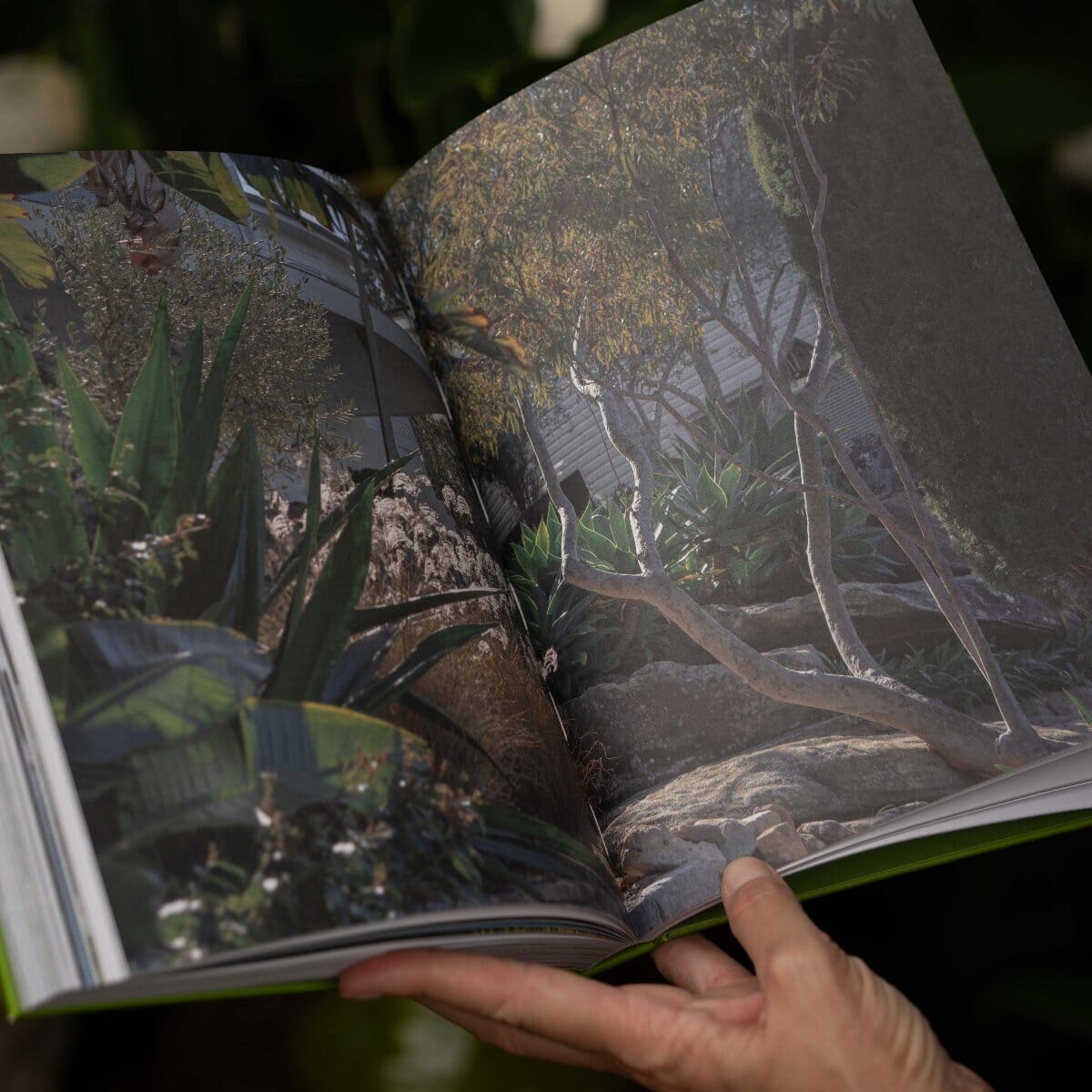The Natural Gardener PL Books Brookfield Gardens