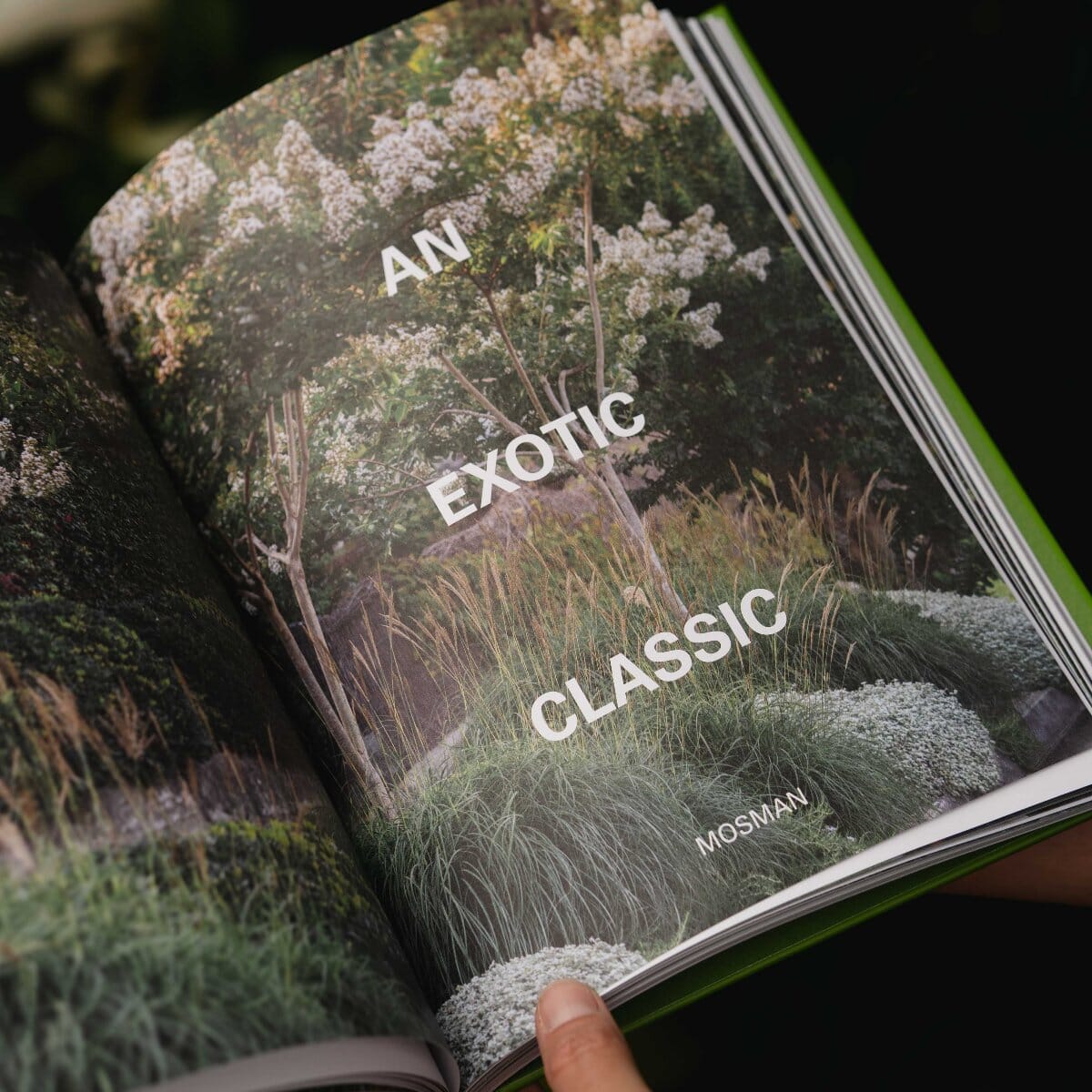 The Natural Gardener PL Books Brookfield Gardens