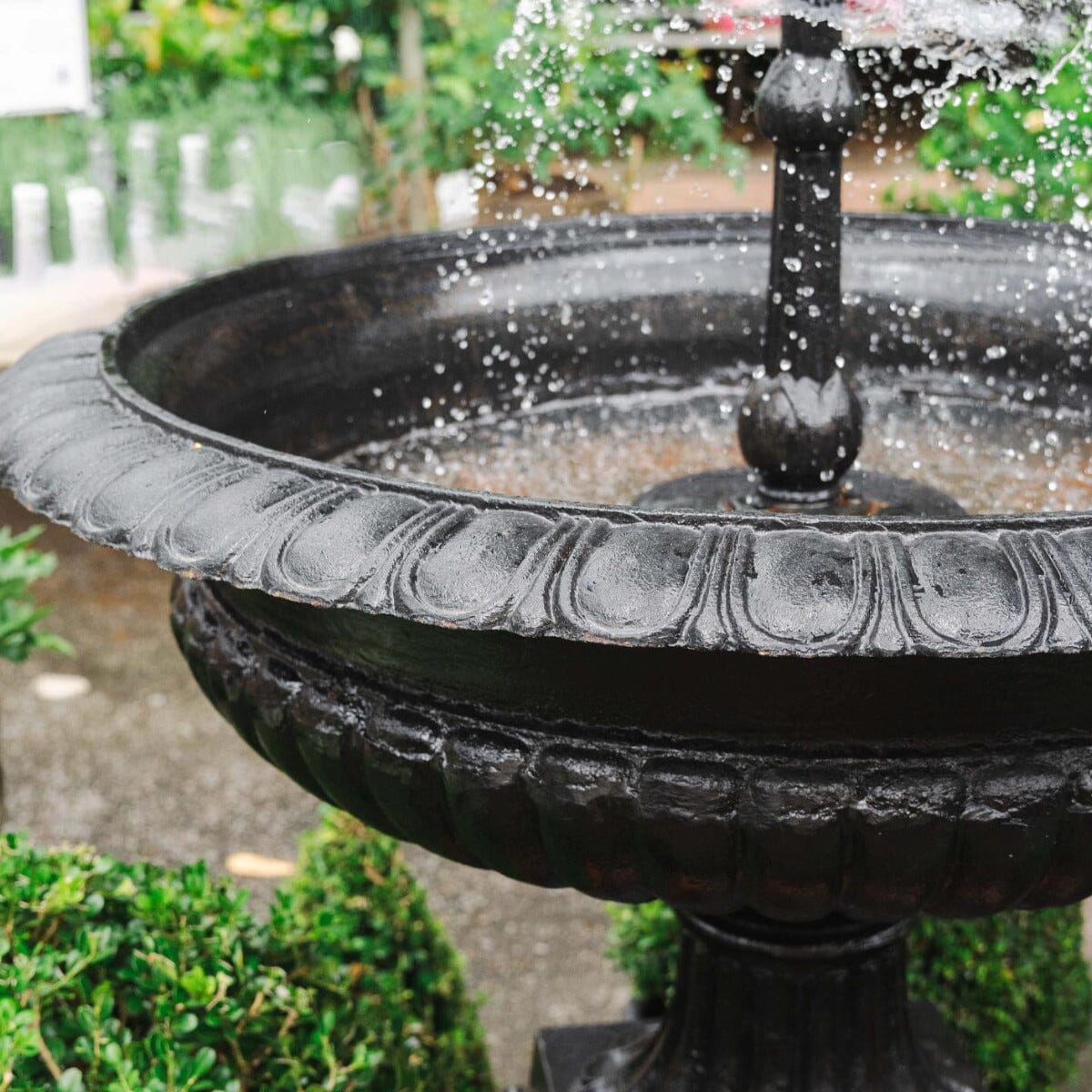 Toulouse Fountain Statues / Water features / Bird Bath Brookfield Gardens