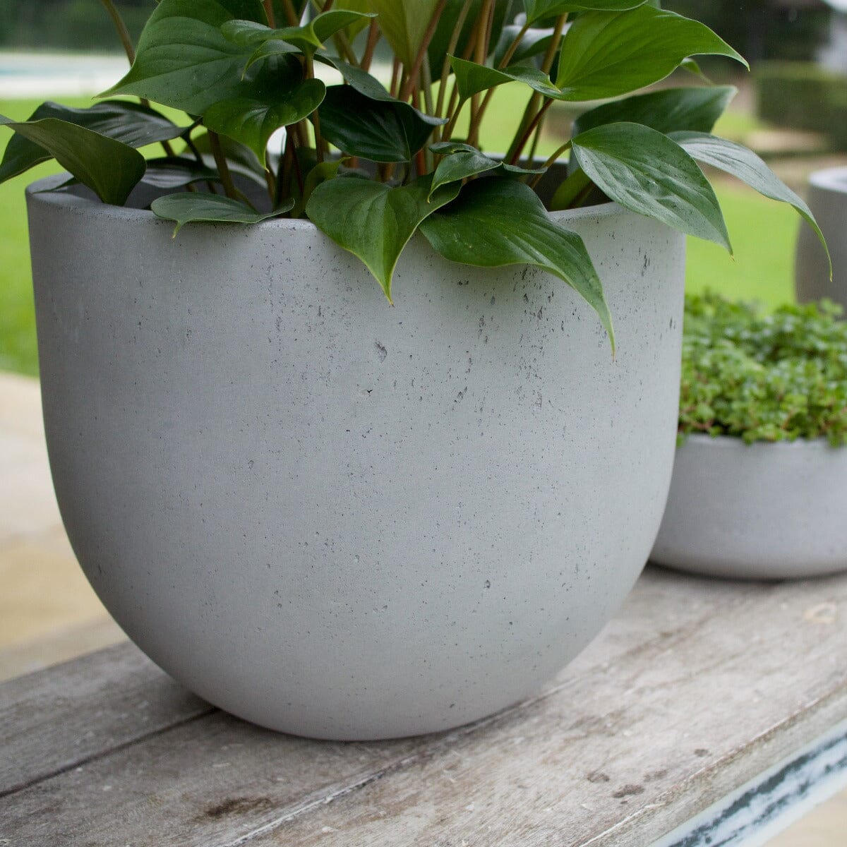 Urban Squat U Planter Pots - Terrazzo Brookfield Gardens