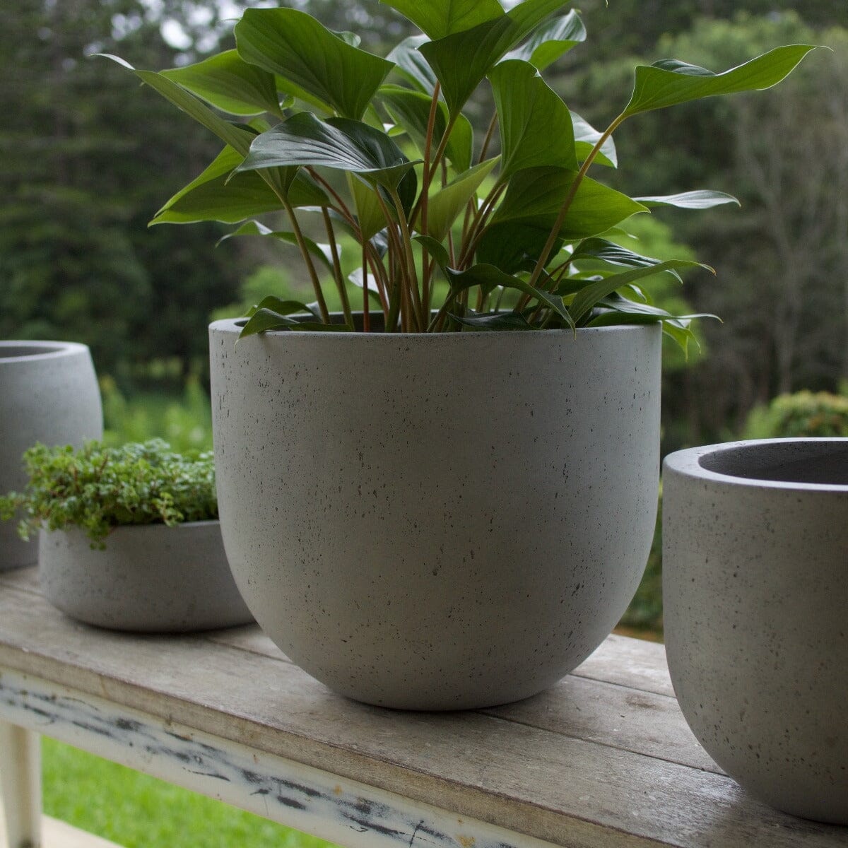 Urban Squat U Planter Pots - Terrazzo Brookfield Gardens