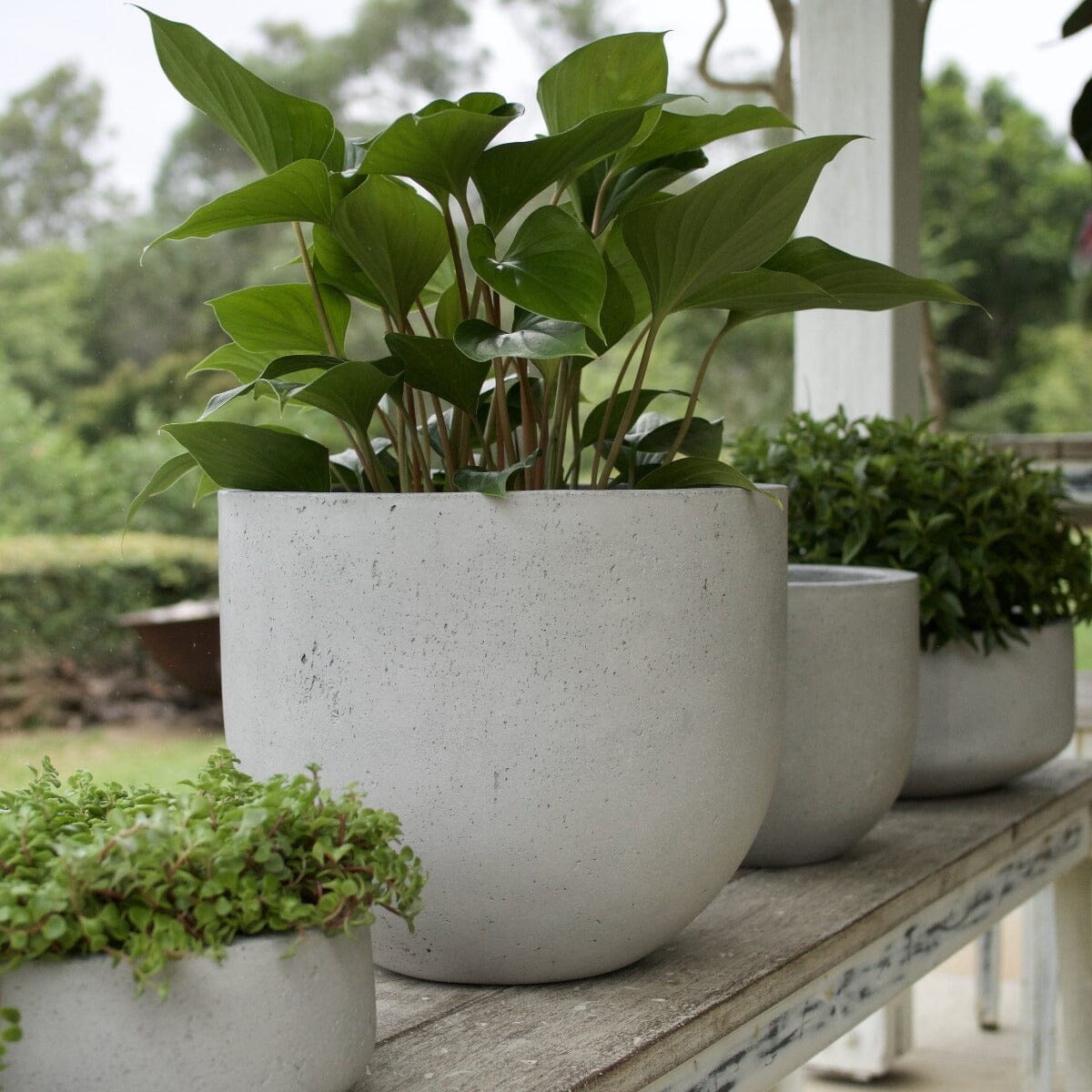 Urban Squat U Planter Pots - Terrazzo Brookfield Gardens