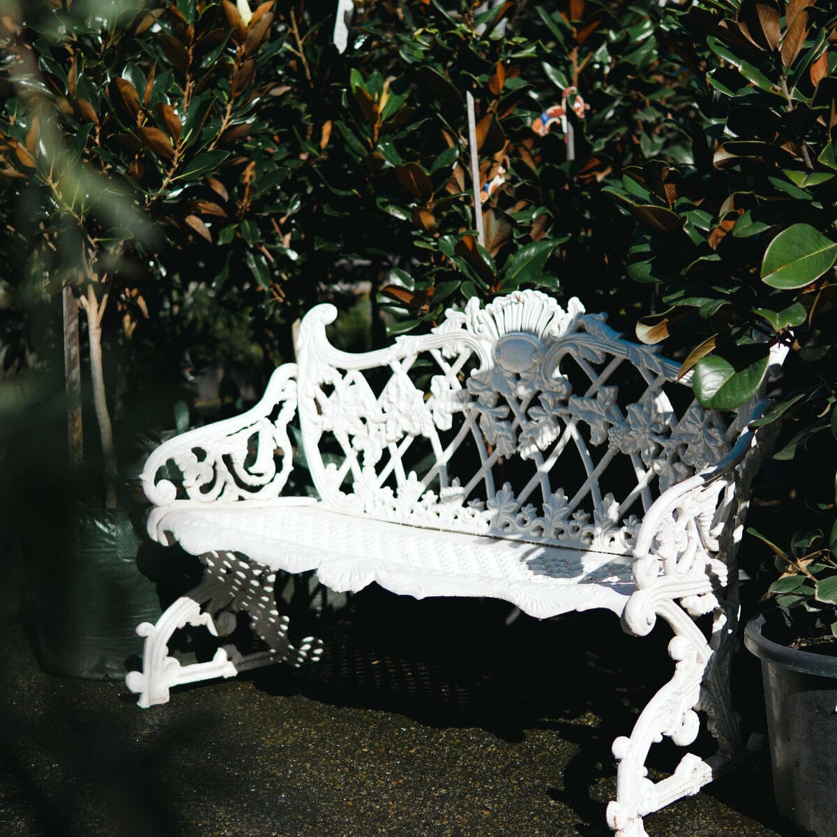 White Crown Bench Furniture Brookfield Gardens