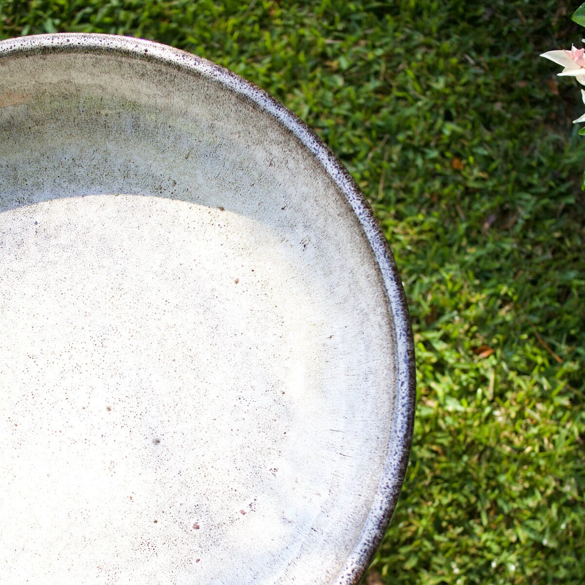 Wren Birdbath Statues / Water features / Bird Bath Garden Club