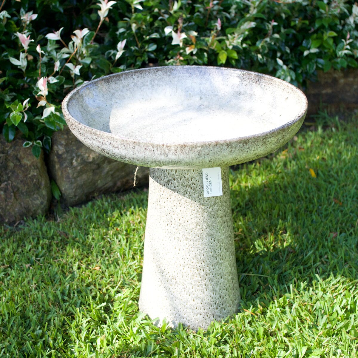 Wren Birdbath Statues / Water features / Bird Bath Garden Club