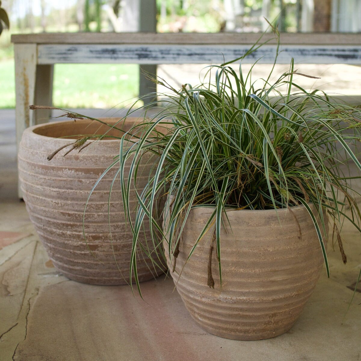 Antique Terra Ring Pot Pots - Antique Terra Brookfield Gardens