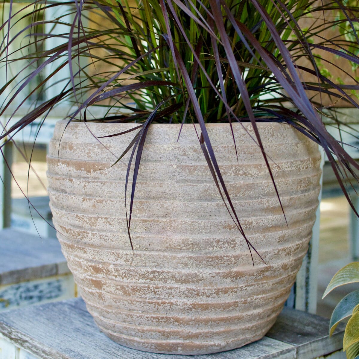 Antique Terra Ring Pot Pots - Antique Terra Brookfield Gardens