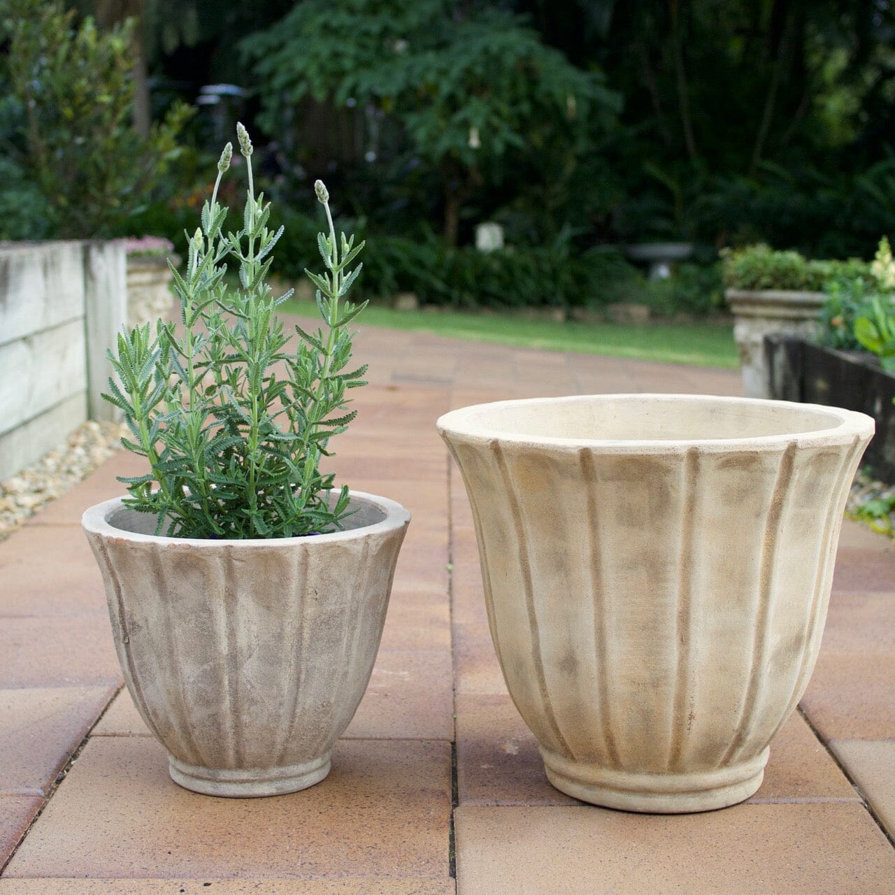 Antique Terra Tulip Pot Pots - Antique Terra Brookfield Gardens