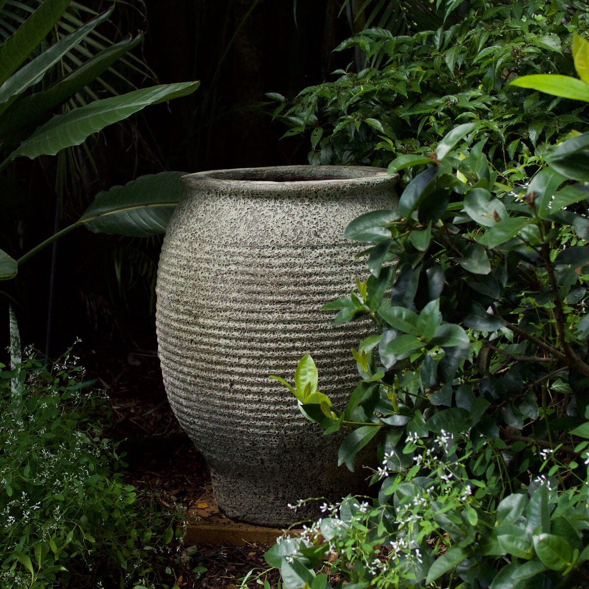 Atlantis Baby Bella Pots - Atlantis Brookfield Gardens