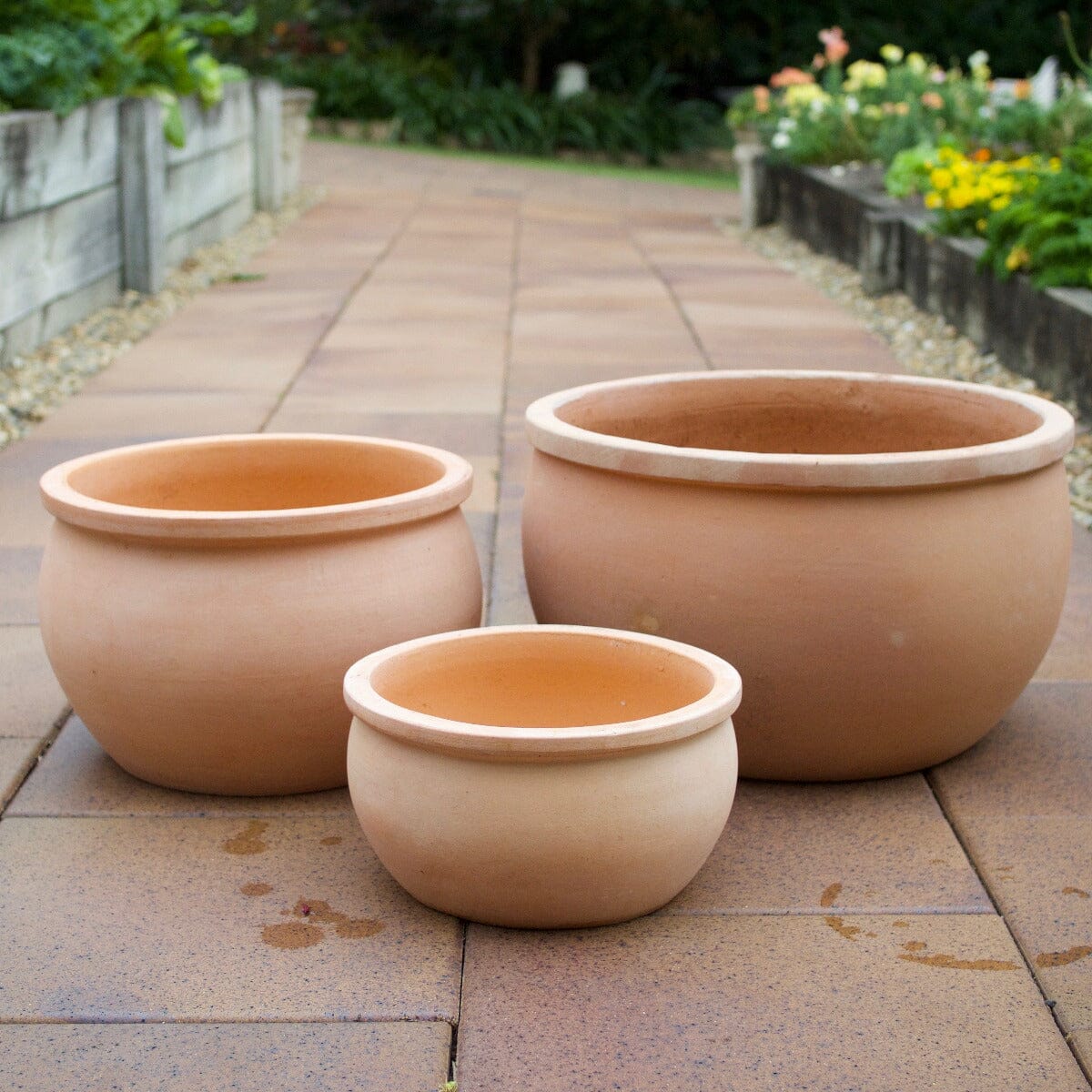Bavaria Bowl Pots - Terracotta Brookfield Gardens