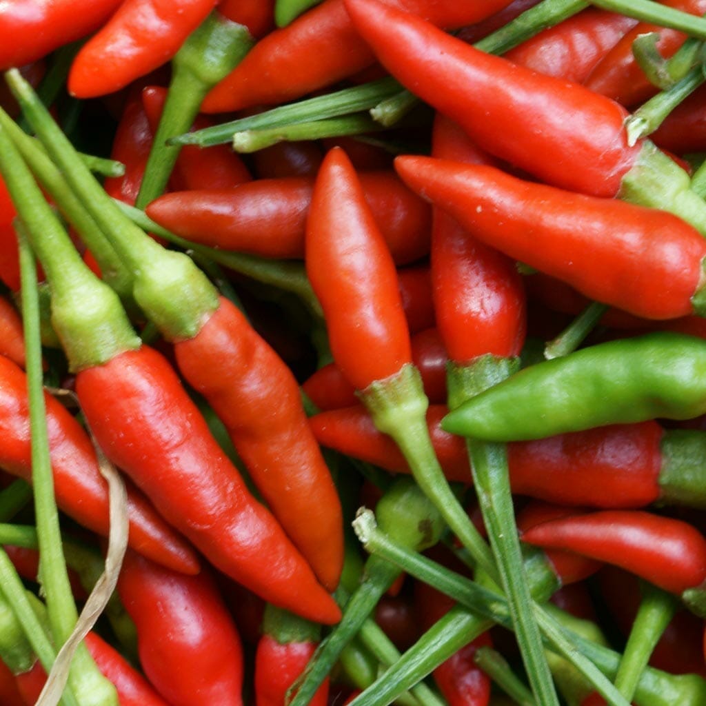 Chilli Birds Eye Brookfield Gardens