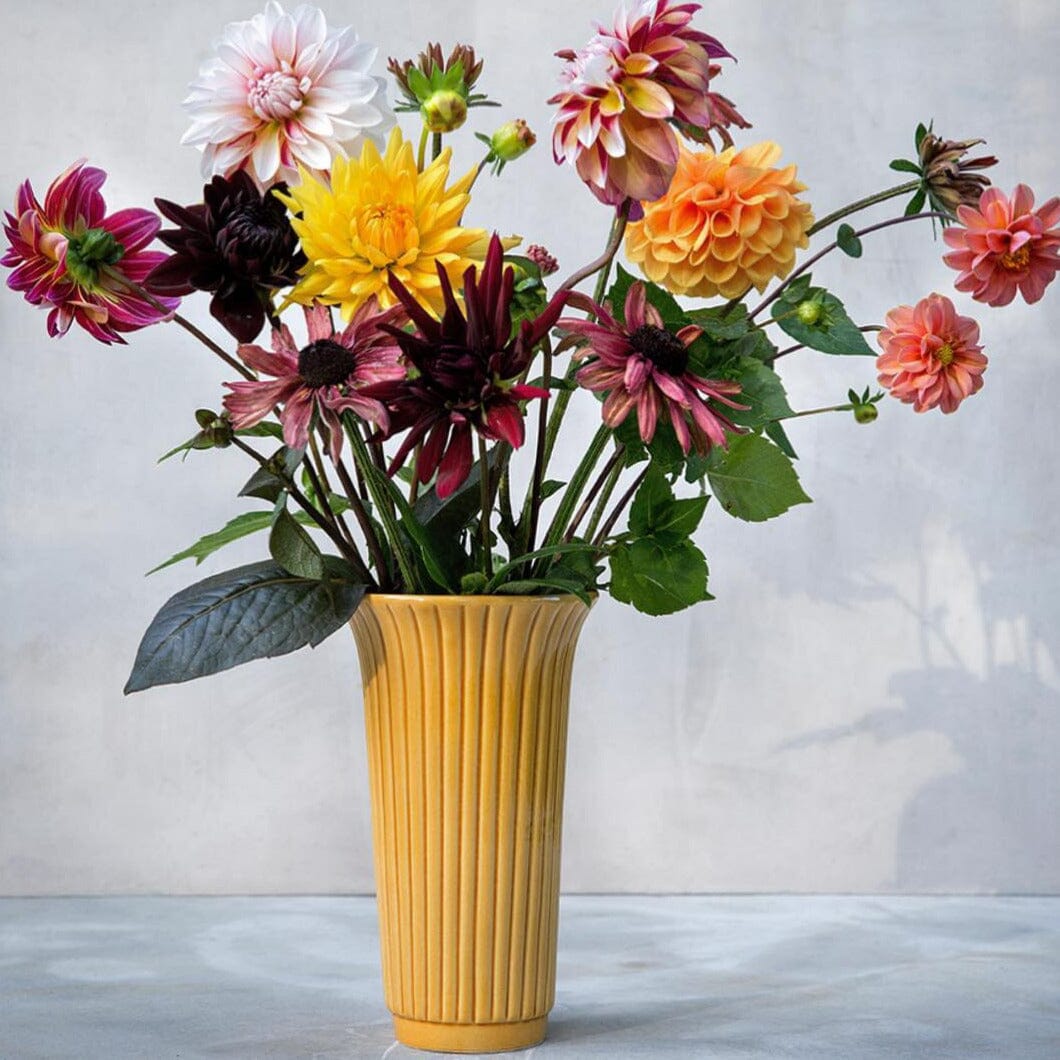 Daisy Amber Yellow Vase Florist - Vessels Berg