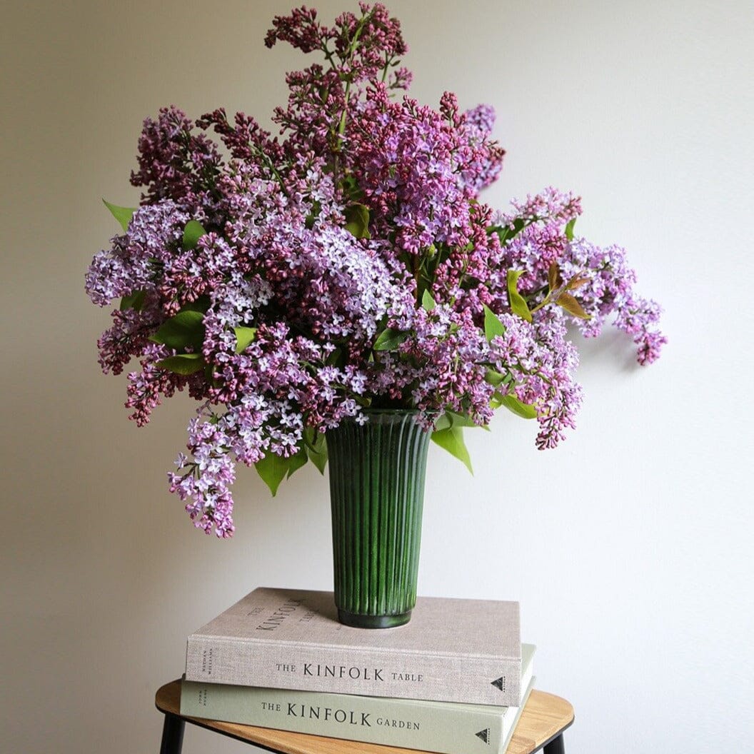 Daisy Green Vase Florist - Vessels Berg