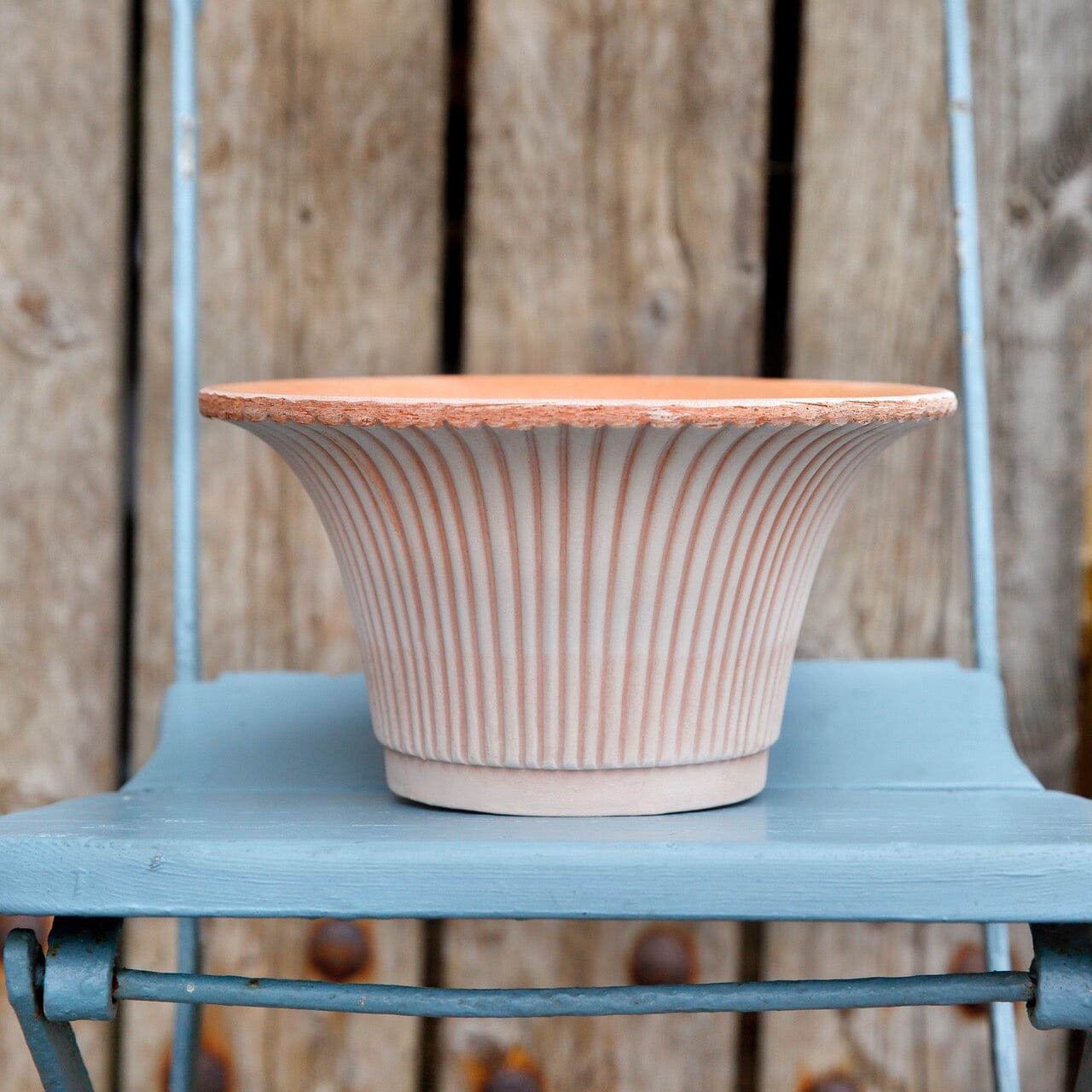 Daisy Rose inc saucer Florist - Vessels Berg