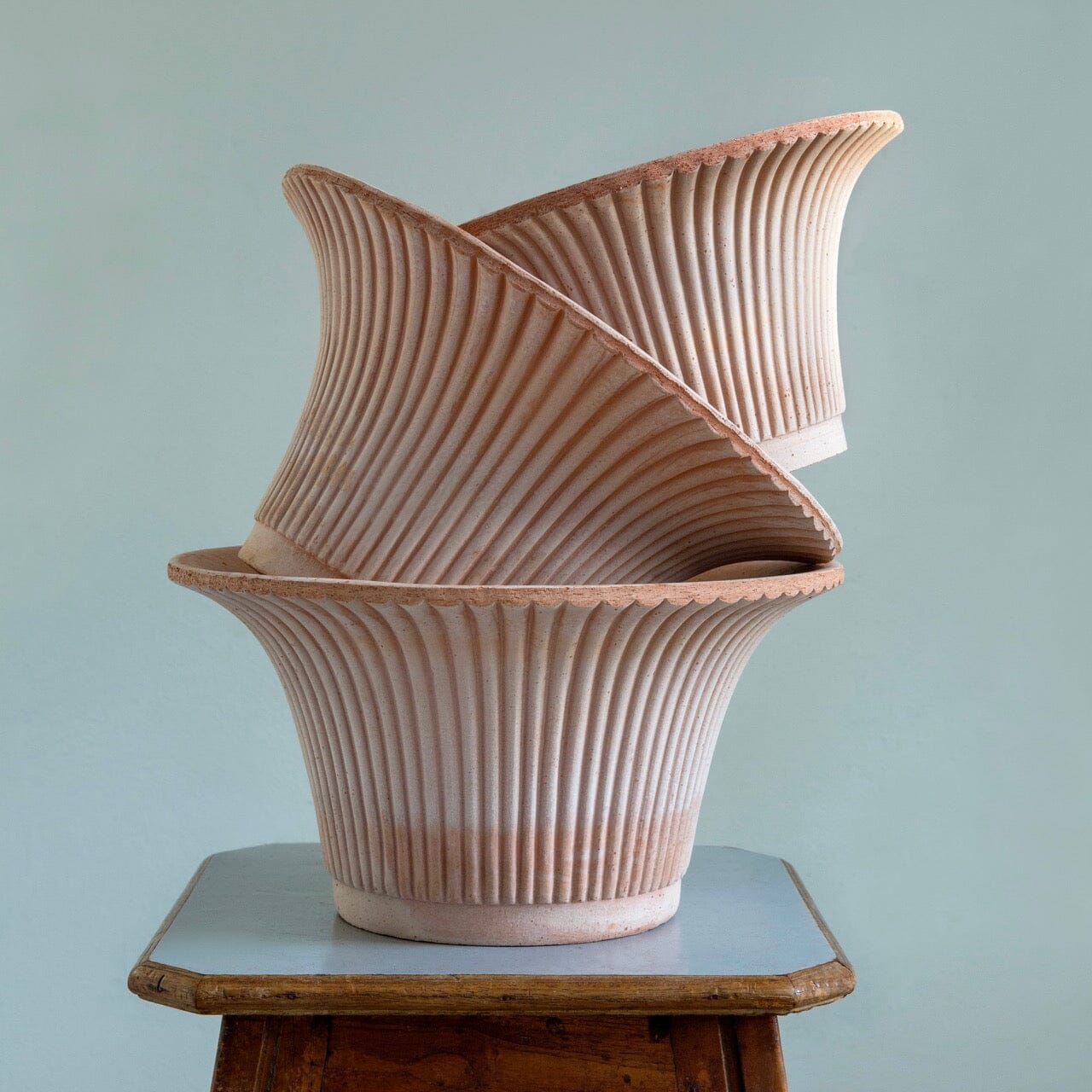 Daisy Rose inc saucer Florist - Vessels Berg