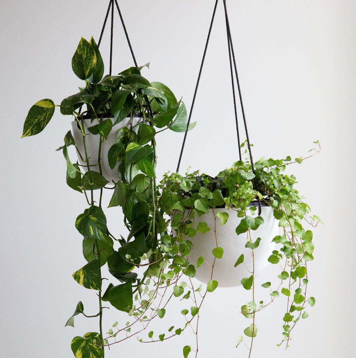 Grace Hanging Pot White Pots - Decorator Hanging