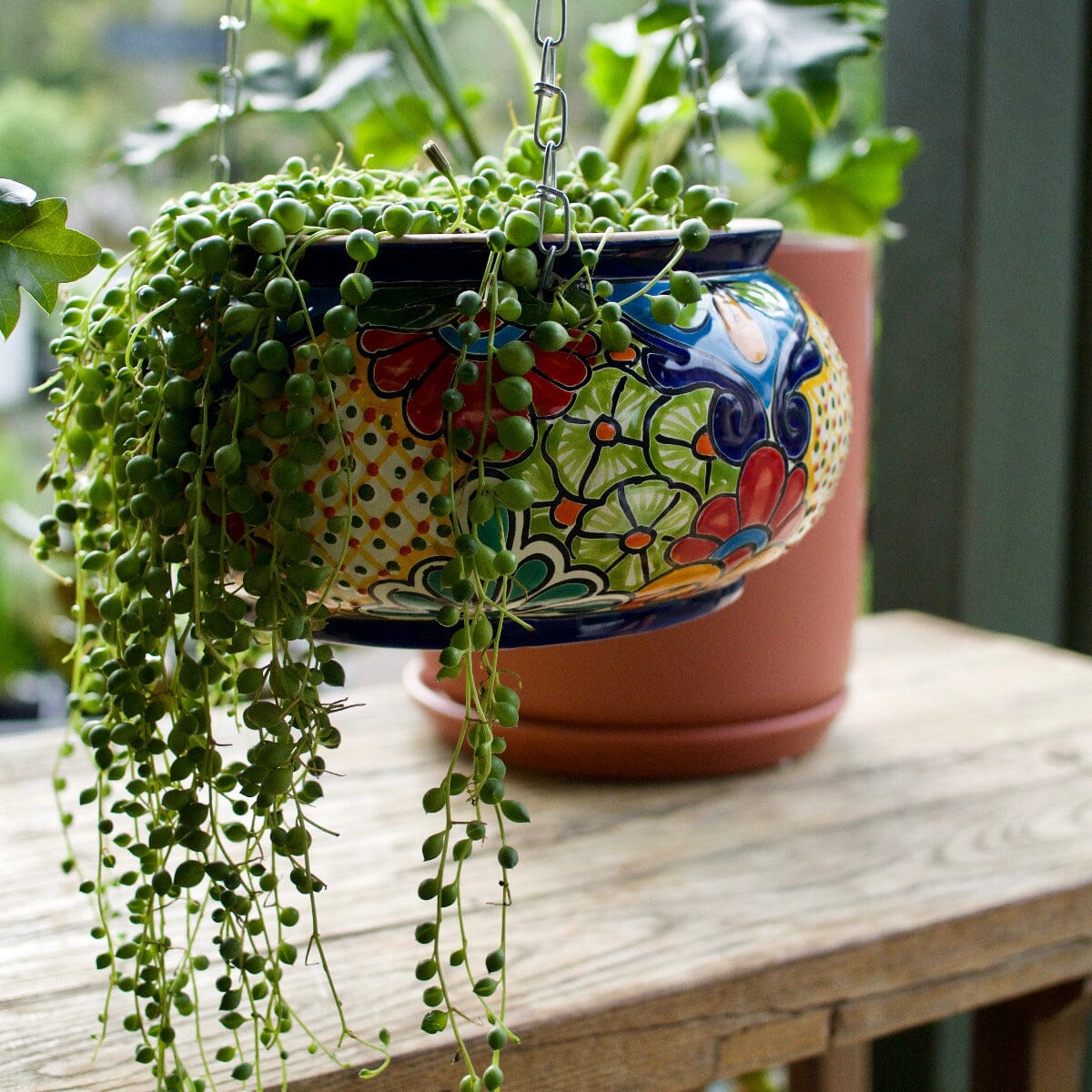 mexican hanging plants Hanging Planter Sopera 12cm