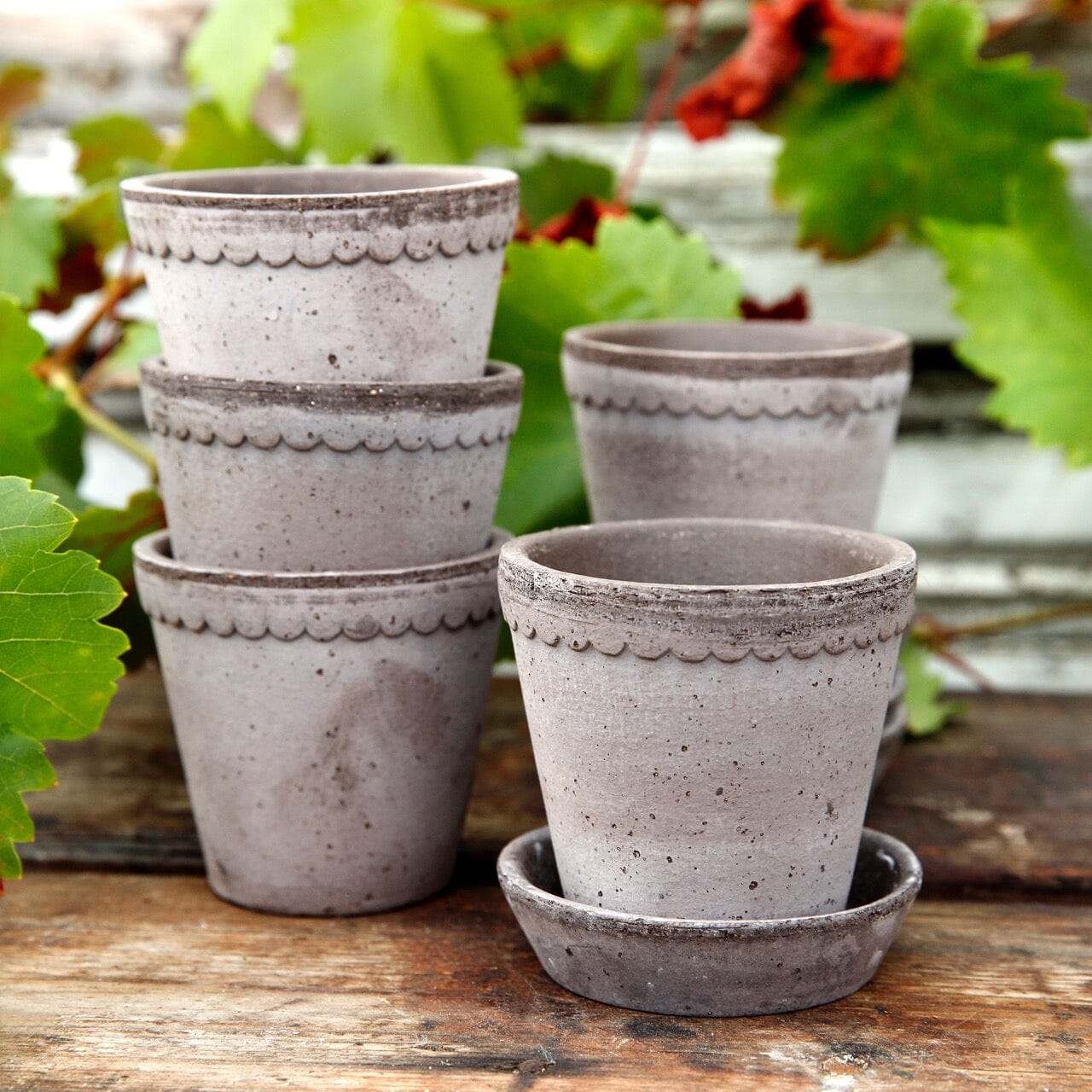Helena Grey inc Saucer Florist - Vessels Berg