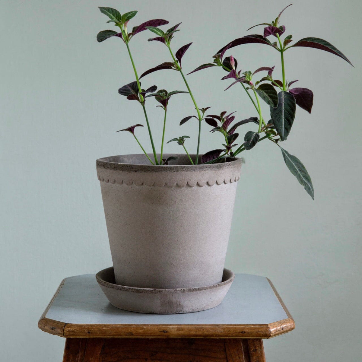 Helena Grey inc Saucer Florist - Vessels Berg