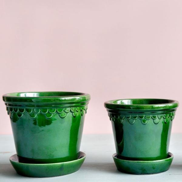Kobenhavner Green inc saucer Florist - Vessels Berg