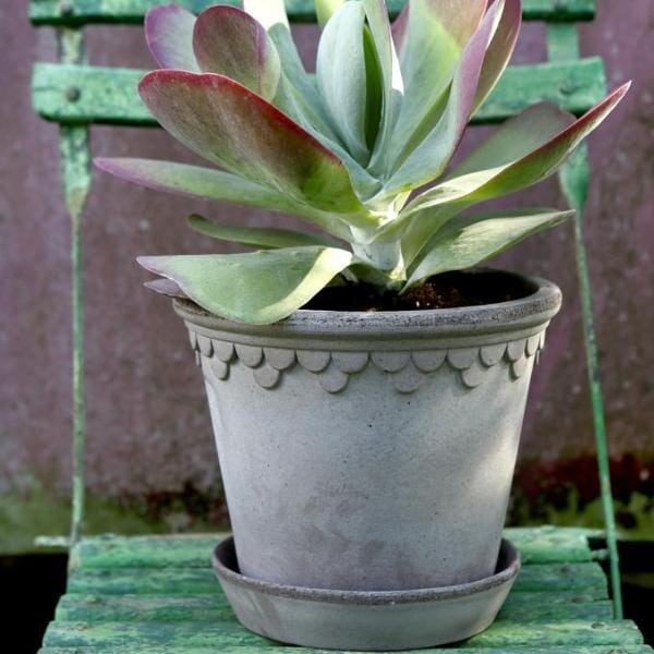 Kobenhavner Grey inc saucer Florist - Vessels Berg
