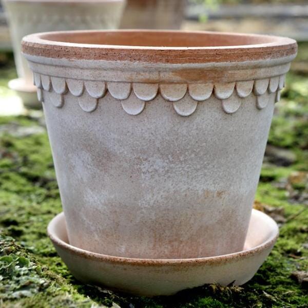 Kobenhavner Rose inc saucer Florist - Vessels Berg