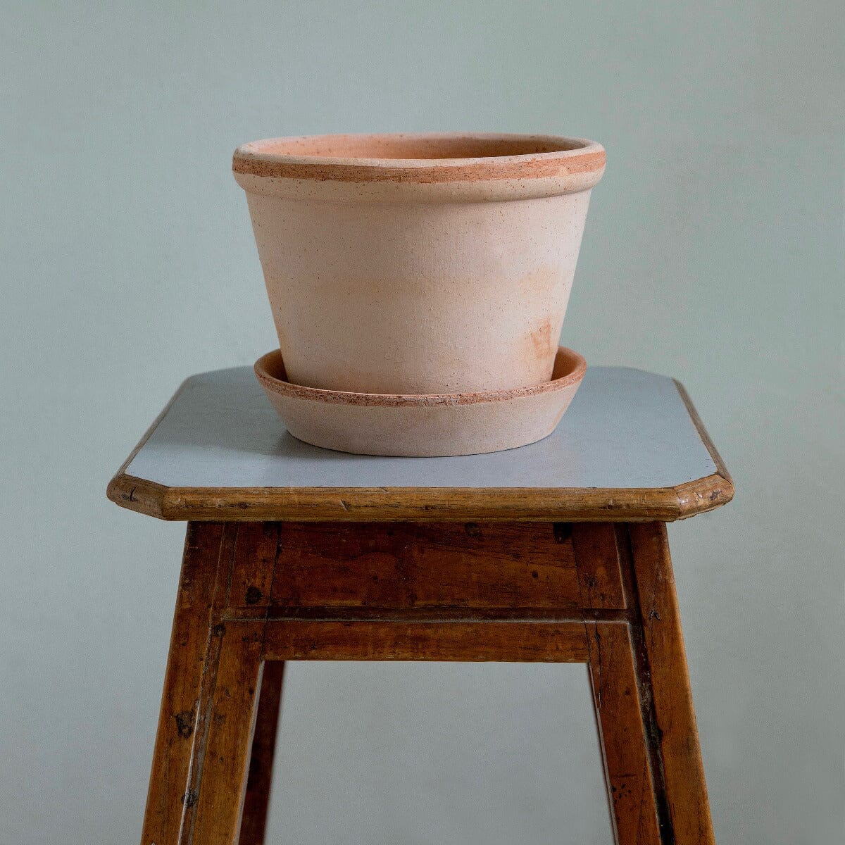 Parade Rose Florist - Vessels Berg