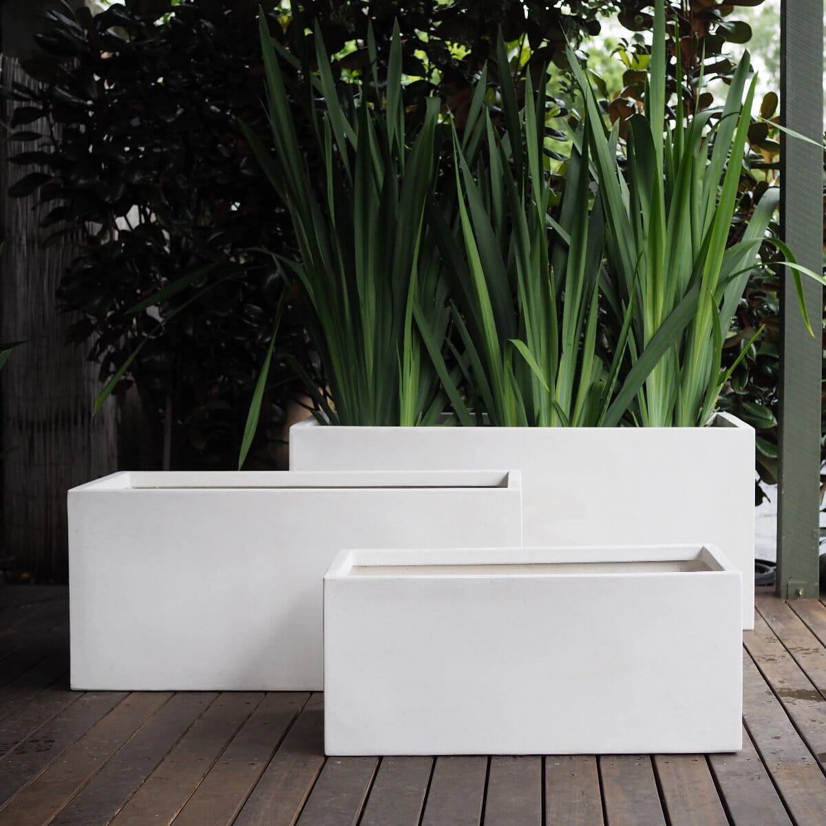 Sante Trough Pots - Light Weight Brookfield Gardens