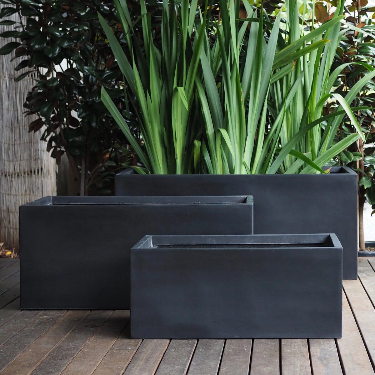 Sante Trough Pots - Light Weight Brookfield Gardens