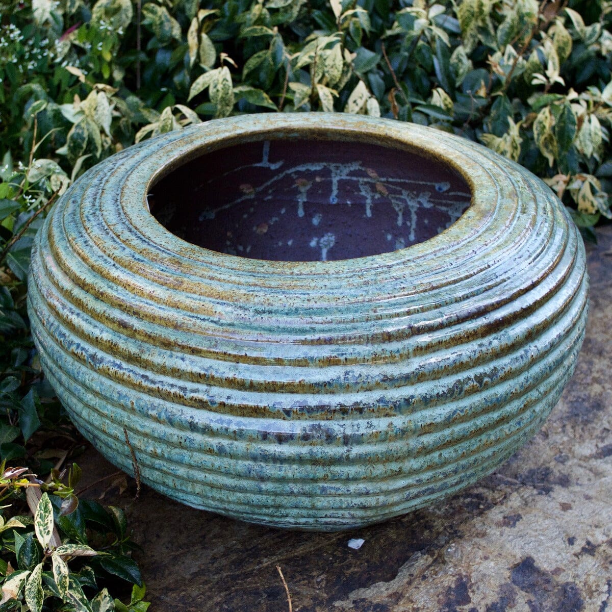 Seed Pod Jar Pots - Glazed Brookfield Gardens