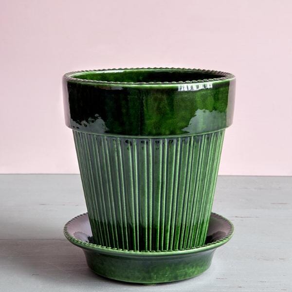 Simona Green inc saucer Florist - Vessels Berg