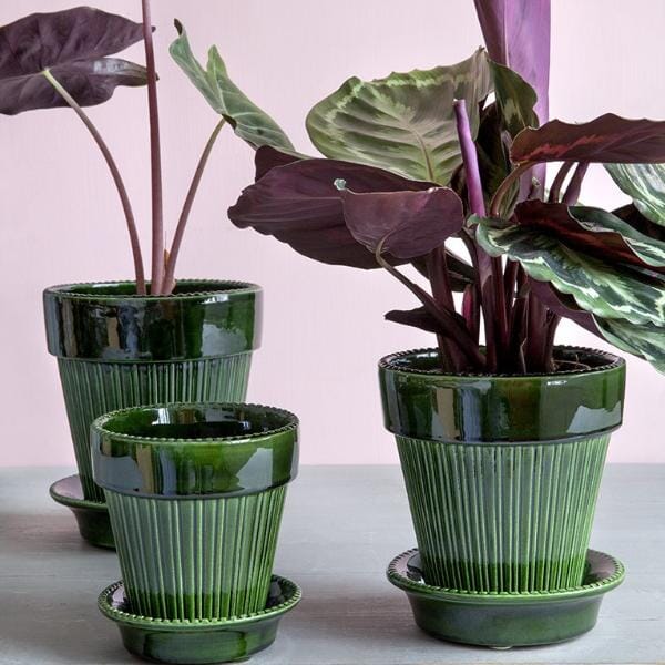 Simona Green inc saucer Florist - Vessels Berg