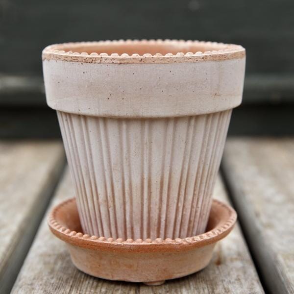 Simona Rose inc saucer Florist - Vessels Berg