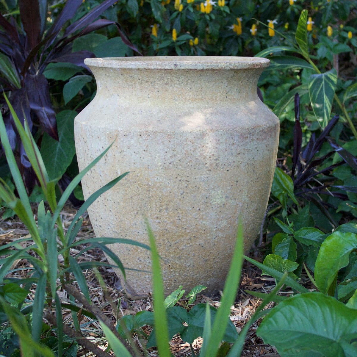 Skorpio Sm Pots - Frost Proof Brookfield Gardens