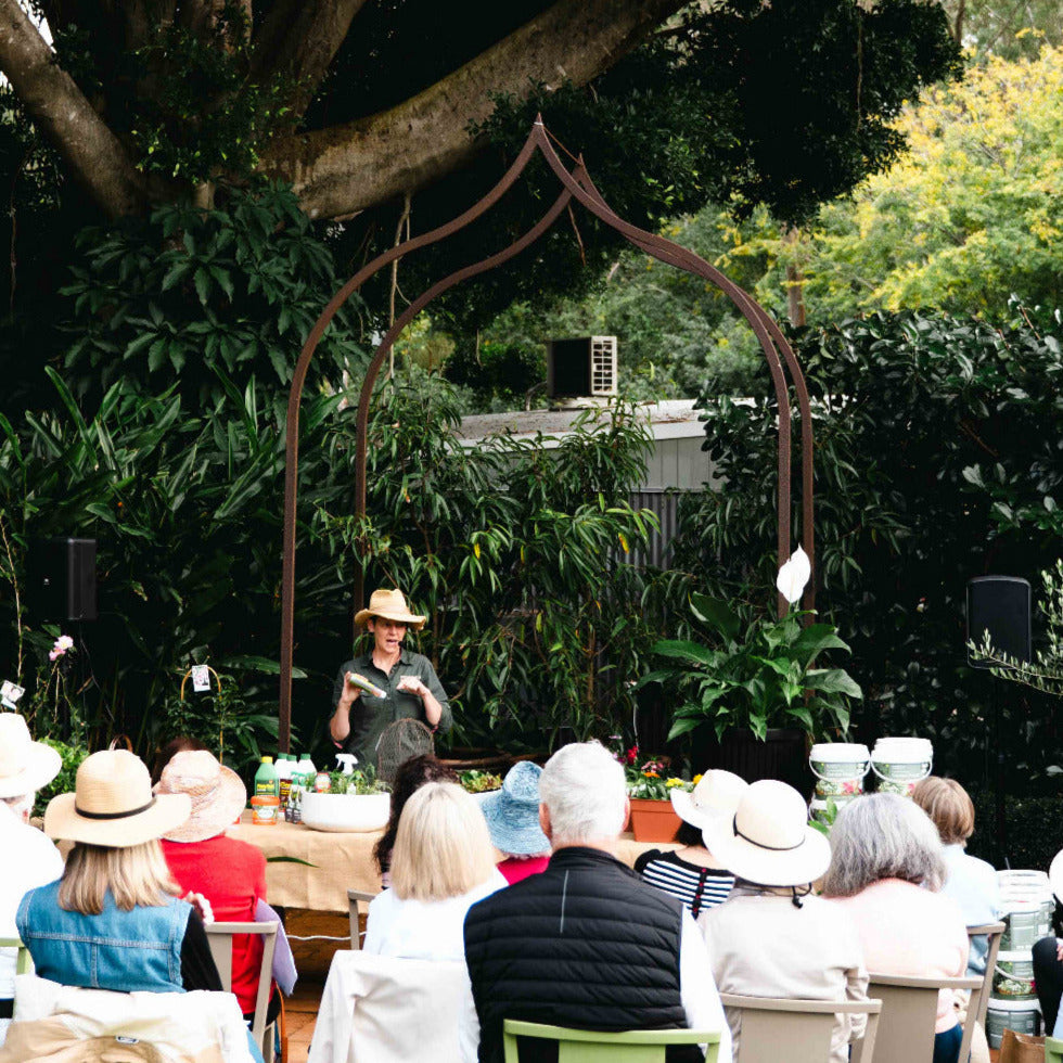Where to Buy Plants and Get Gardening Advice in Brisbane: A Local’s Guide