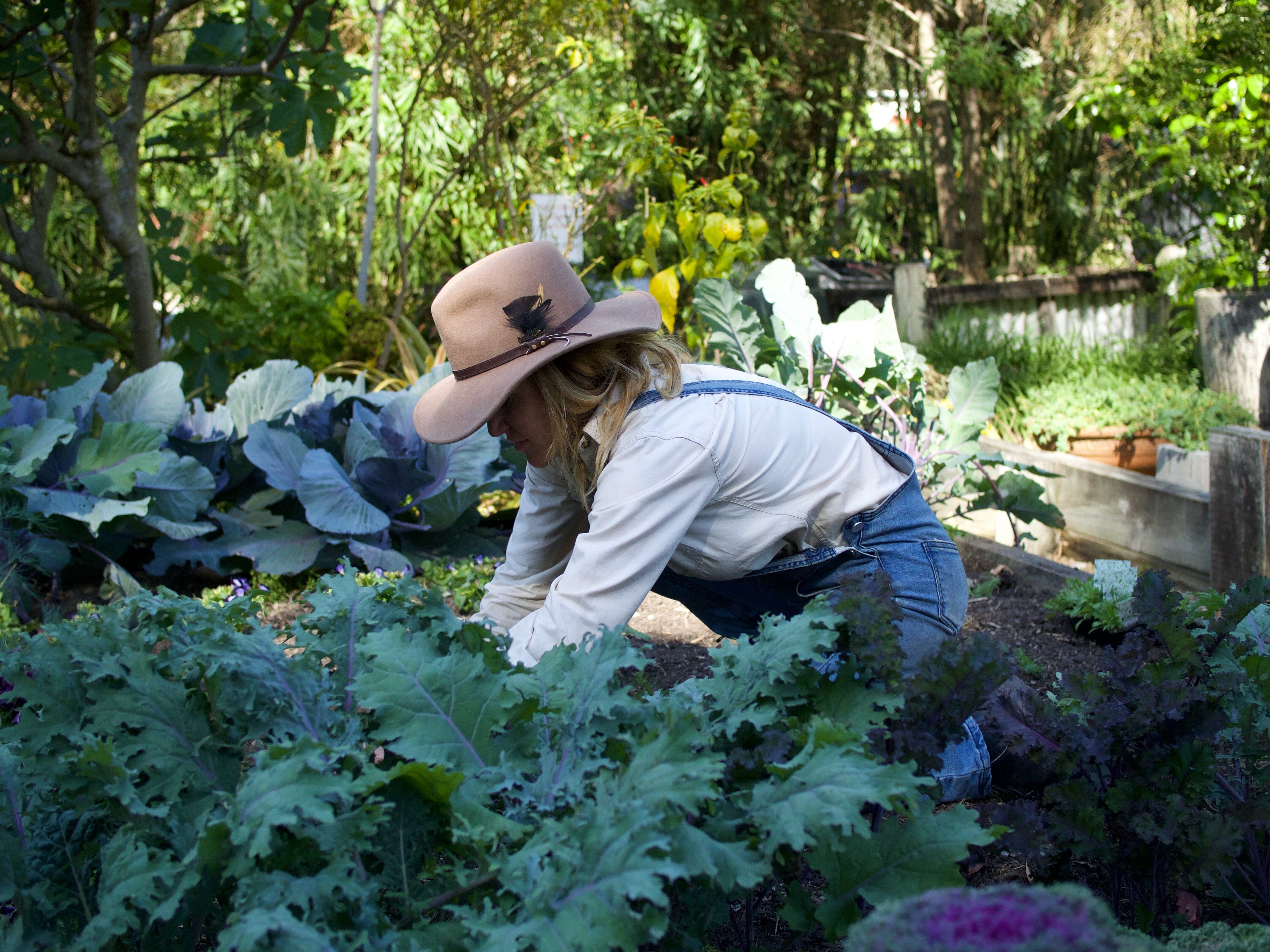 Winter Anticdotes from the Kitchen Garden by Heidi