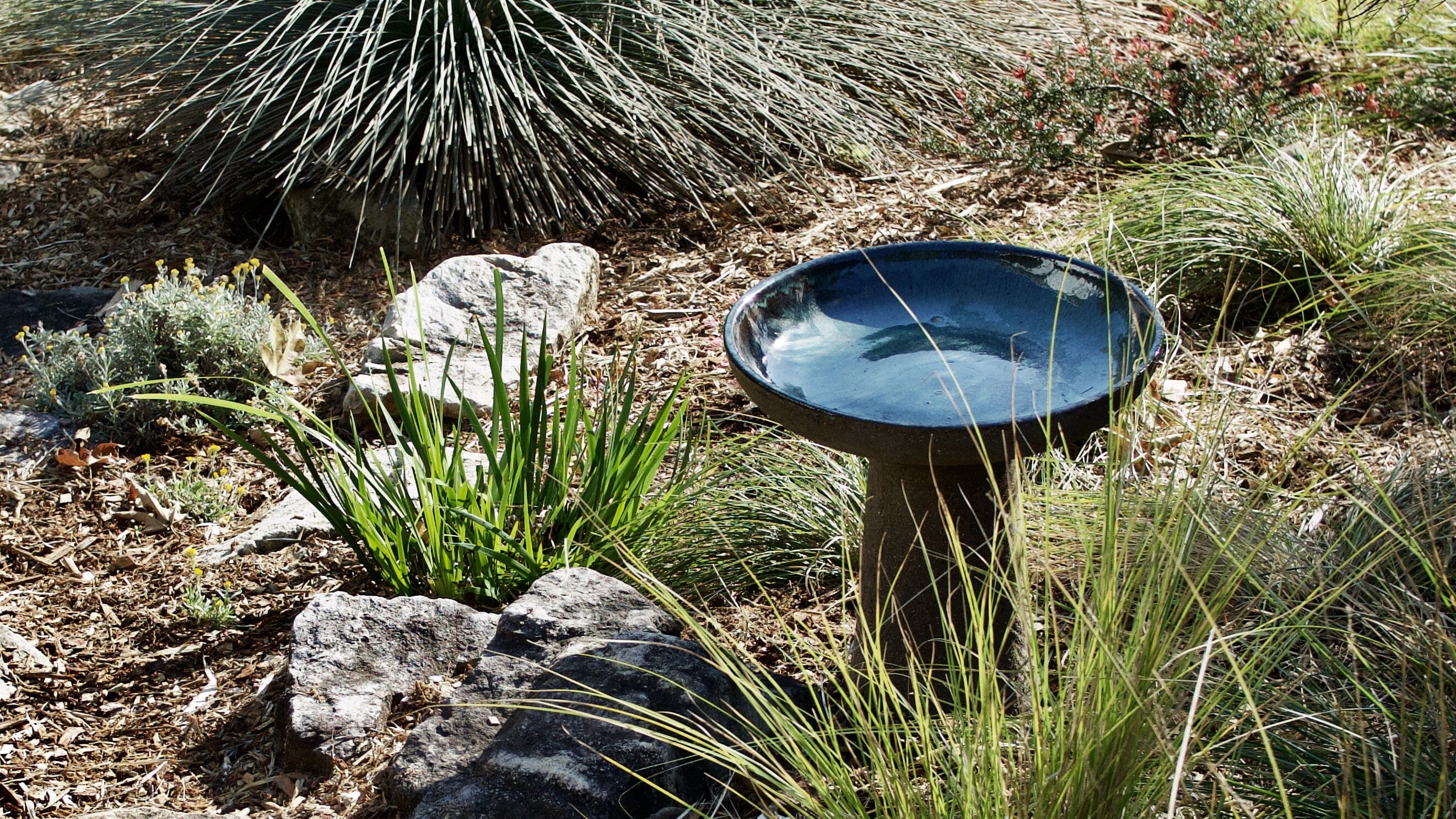 Bird Baths