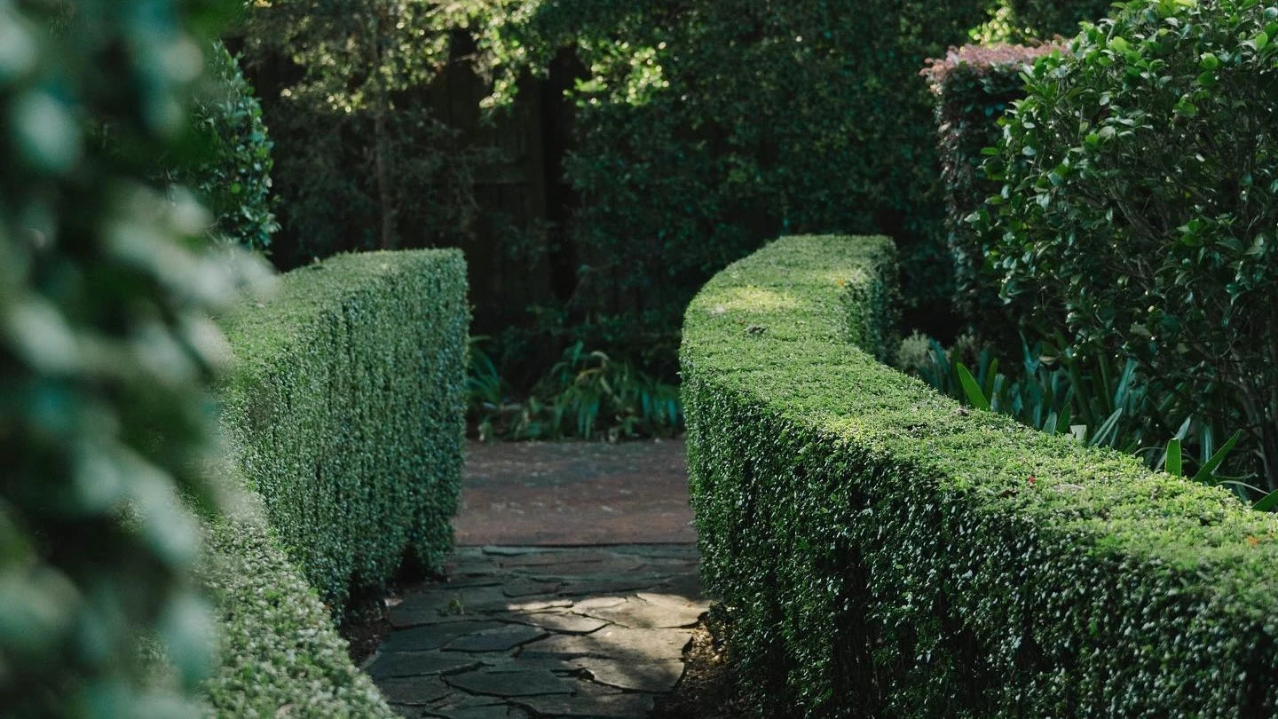 Formal Gardens