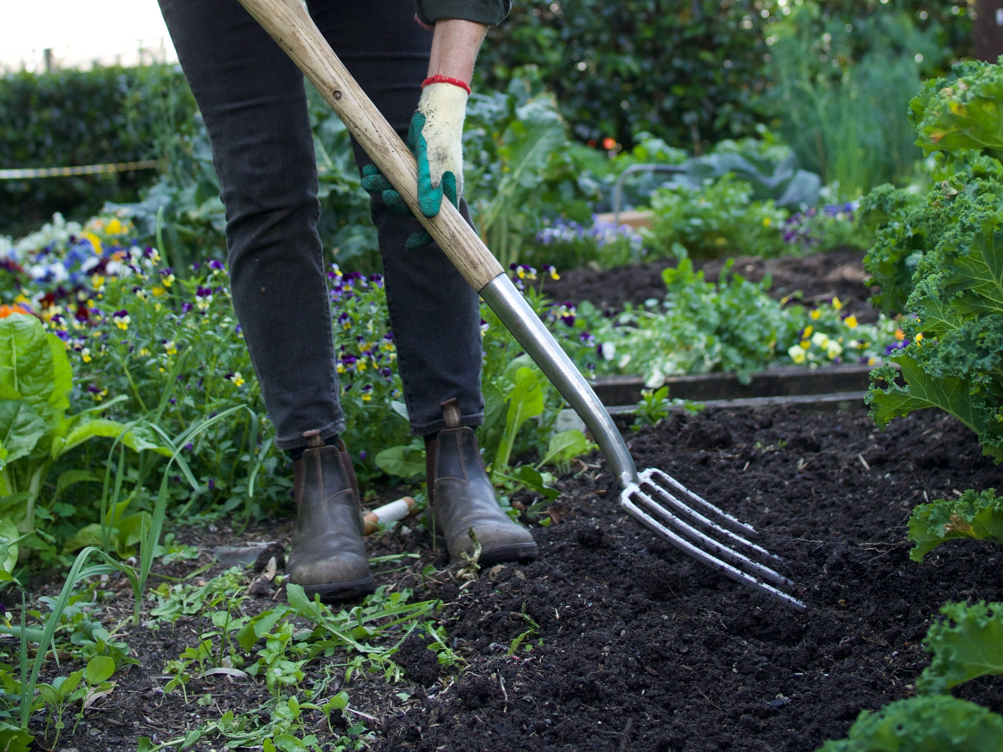 Gifts for Gardeners