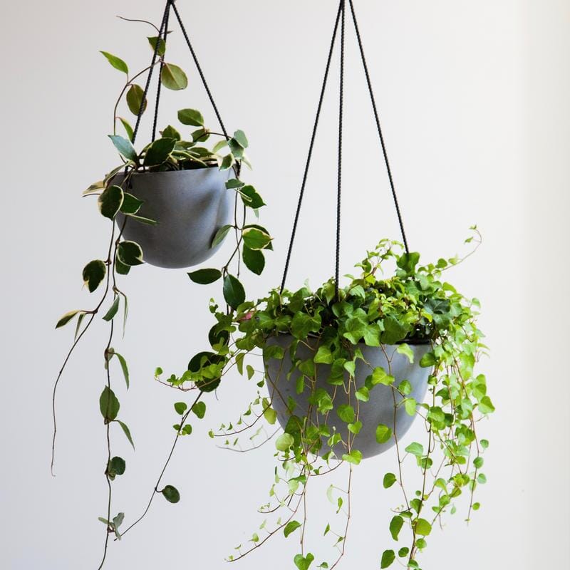 Hanging Pots