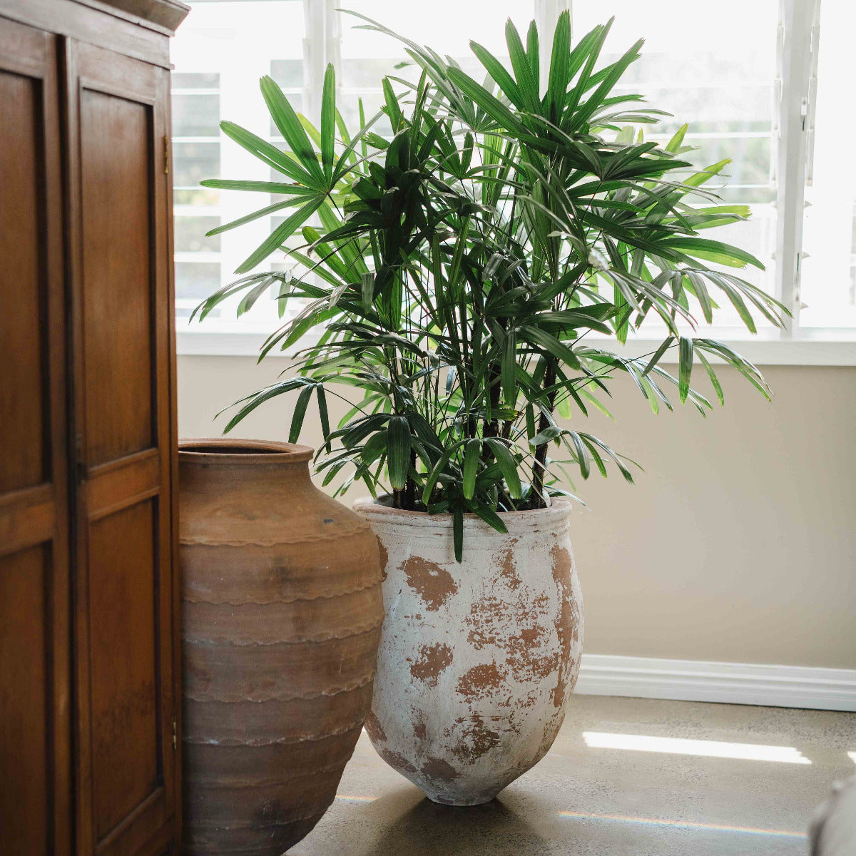 Large aged Turkish terracotta olive jar with weathered lime finish and warm natural patina.