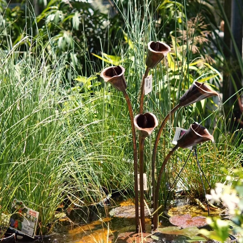 5 Flower Arum Lily Water Feature Statues / Water features / Bird Bath Brookfield Gardens 