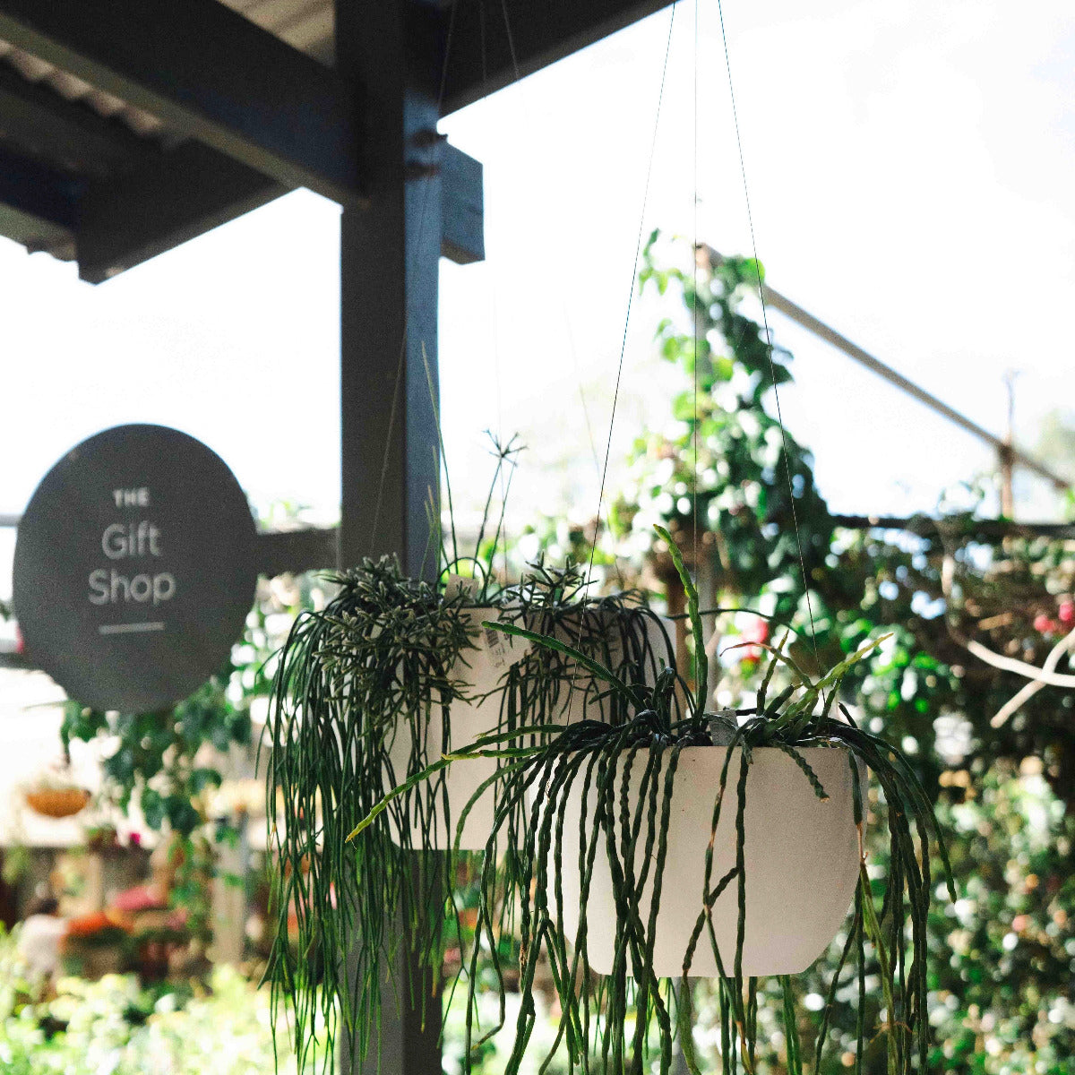 Alder Hanging Pot White Lightweight