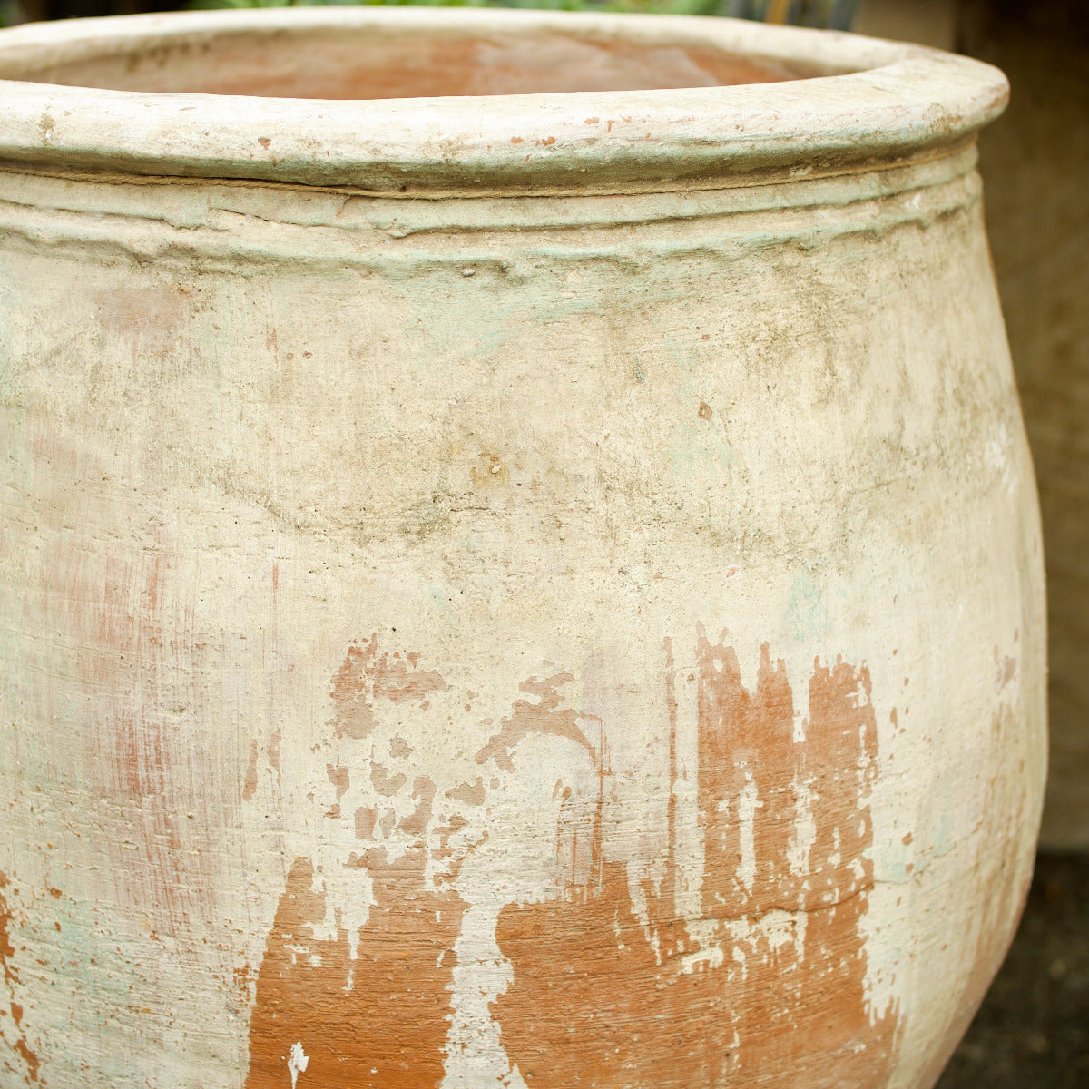 Ancient Turkish terracotta garden pot with rounded body, wide rolled rim and weathered white, orange and green-grey patina, Brookfield Gardens Brisbane.
