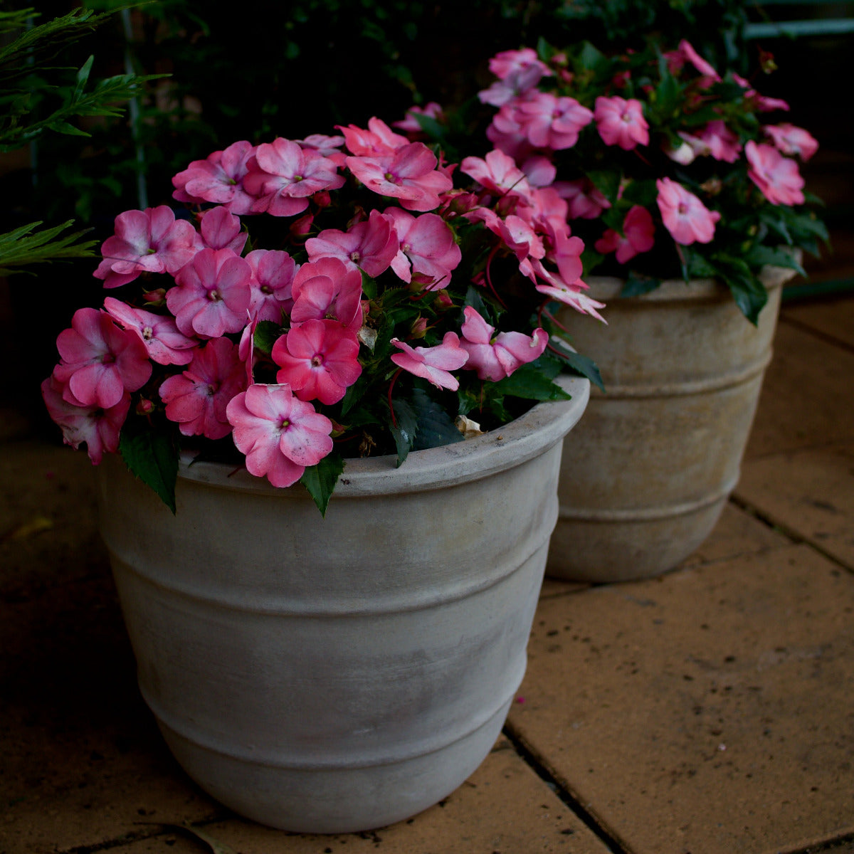 This classic style of pot could be used on a veranda or deck, or even placed in the garden as a feature.