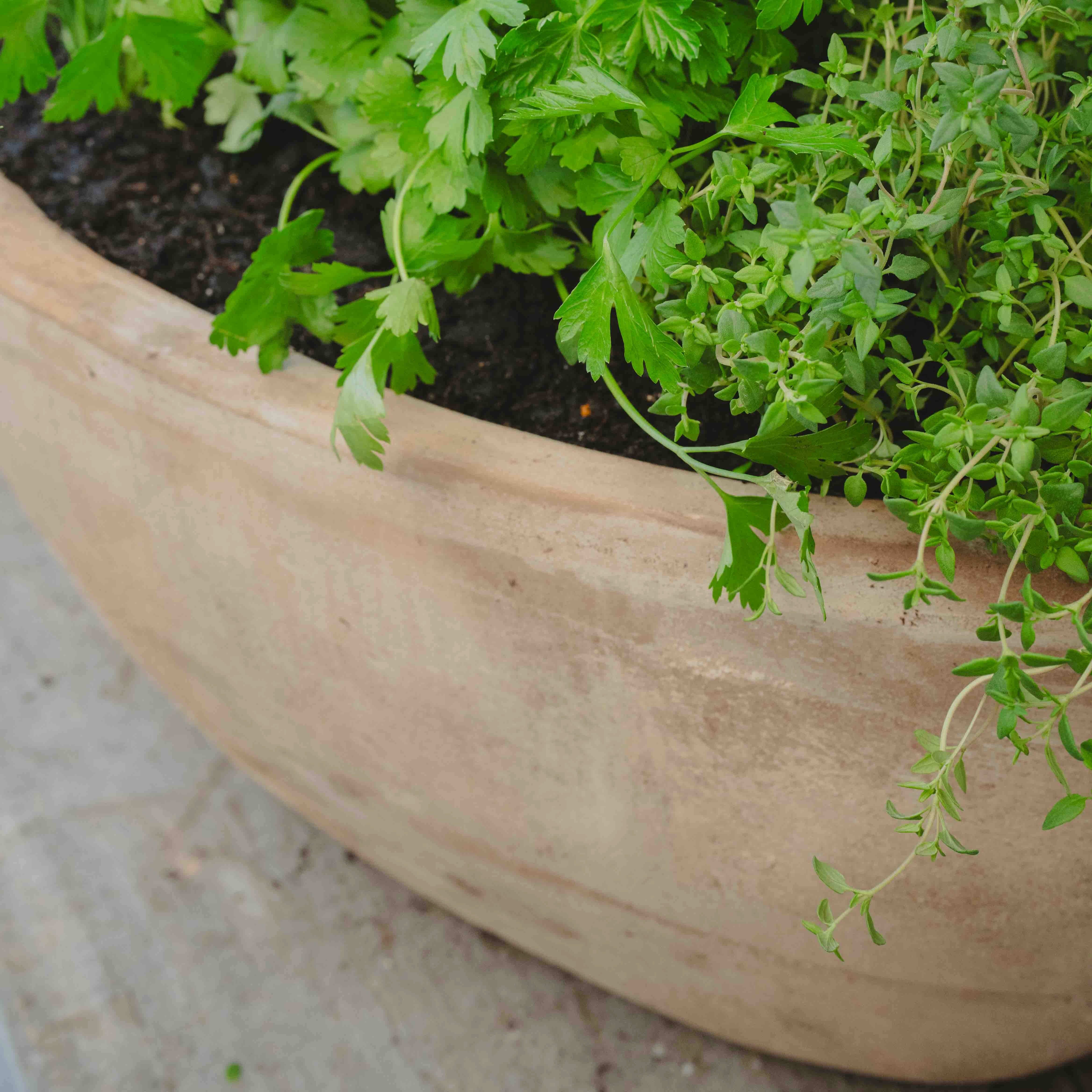 Antique Terracotta Loire Trough 