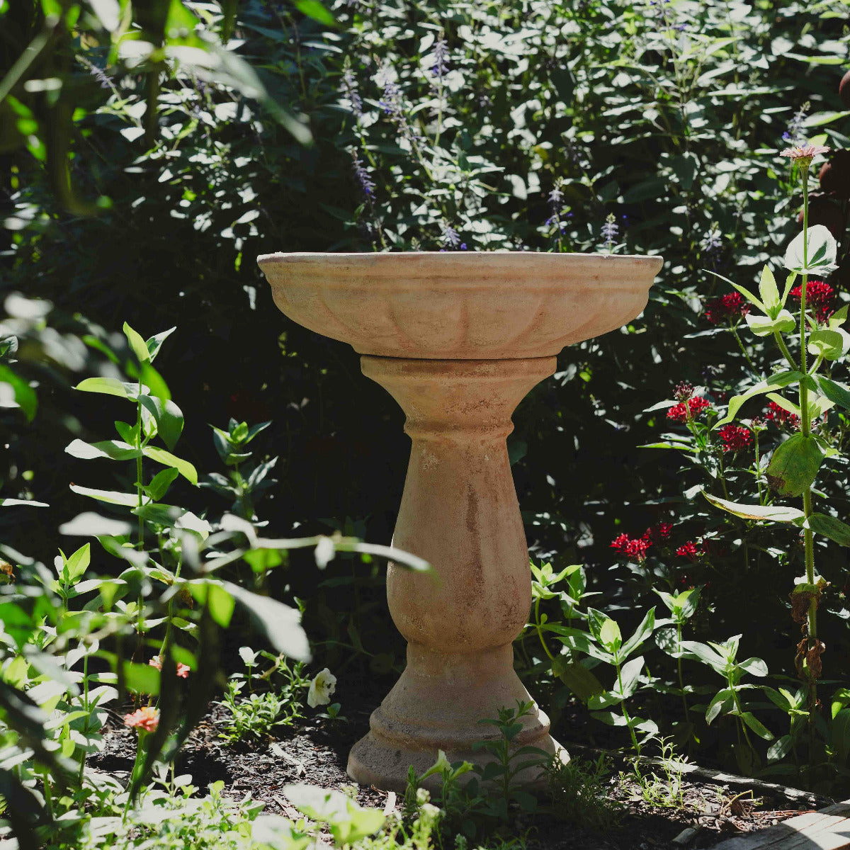 Antique terracotta bird bath with a beautifully aged finish. A timeless garden feature, perfect for adding character and attracting birds in Brisbane gardens.