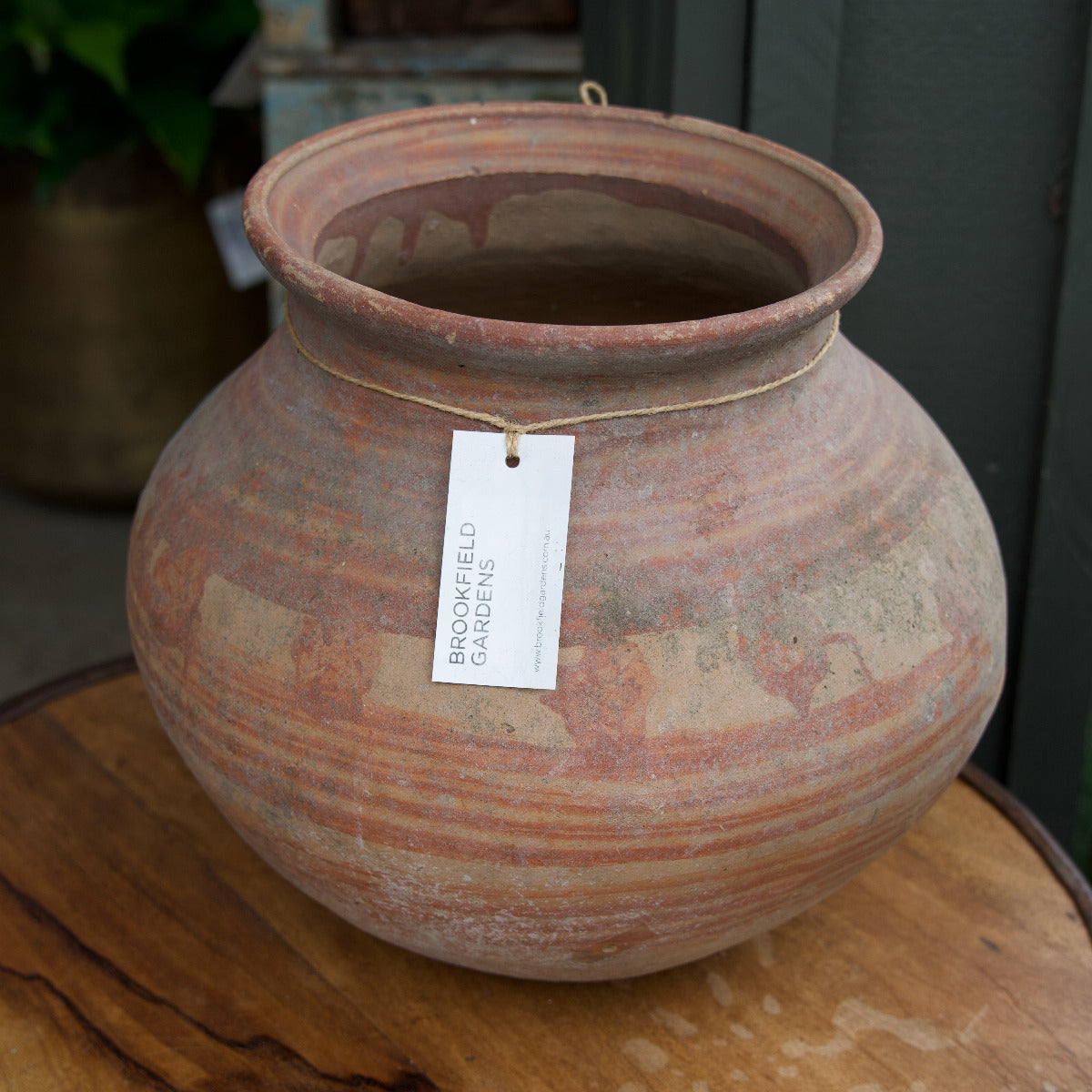 Terracotta Pot