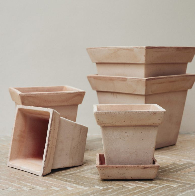 Gaia Rosa Pot inc saucer