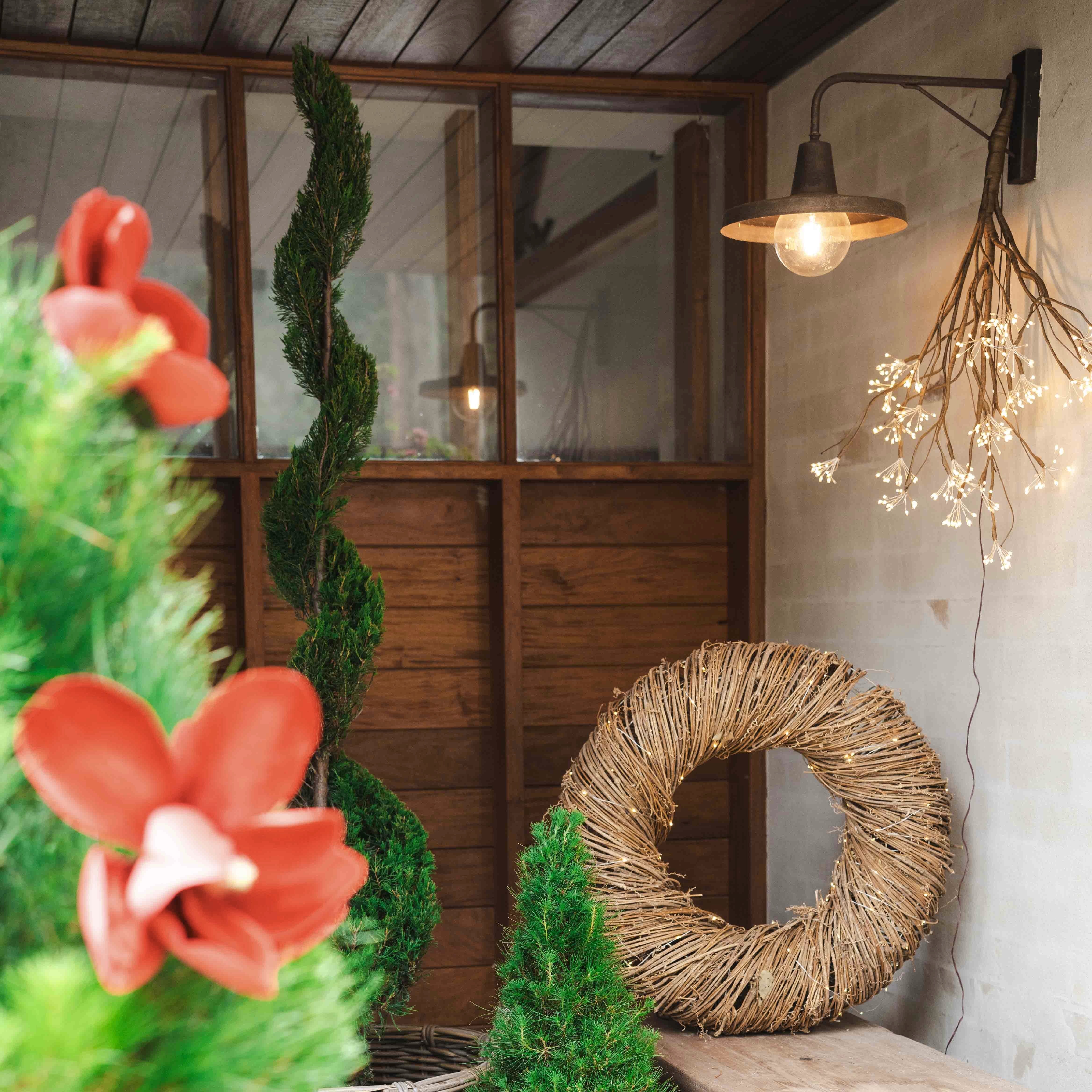 Twinkle Branch Branch